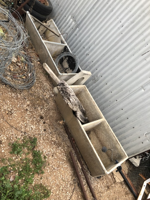 22 v3